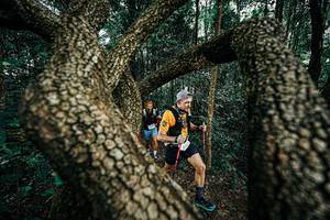 BIB: 
                            <button type="button" onclick="openModal(25394147)" class="btn btn-primary btn-sm float-right btn-popup" data-toggle="modal" data-target=".modal-high-quality">
                        <i class="fas fa-shopping-cart"></i> Add to Cart
                    </button>
                                            <button type="button" onclick="isThisMe(25394147, true)" class="btn btn-success btn-sm float-right btn-popup btn-isme hidden" data-toggle="tooltip" data-placement="bottom" title="นี่คือรูปของคุณใช่ไหม คลิกที่นี่เพื่อเอาเข้าอัลบั้ม">
                        <i class="fas fa-plus"></i> Add to album
                    </button>
                    <button type="button" onclick="isThisMe(25394147, false)" class="btn btn-warning btn-sm float-right btn-popup btn-isnotme hidden">
                        <i class="fas fa-ban"></i> Remove from album
                    </button>